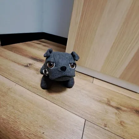 Apartament W Centrum *